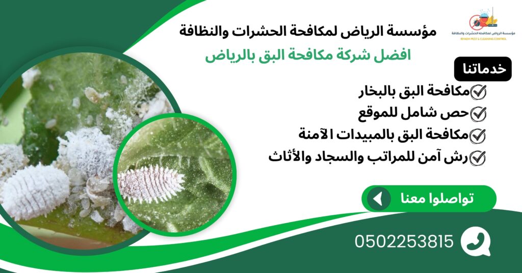 افضل شركة مكافحة البق بالرياض