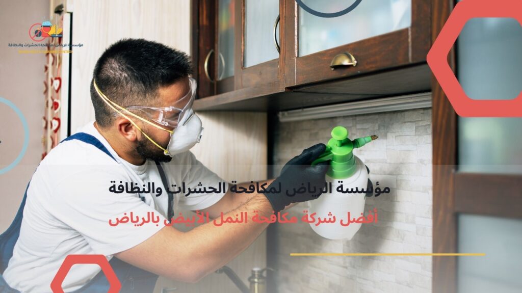 مكافحة النمل الأبيض بالرياض