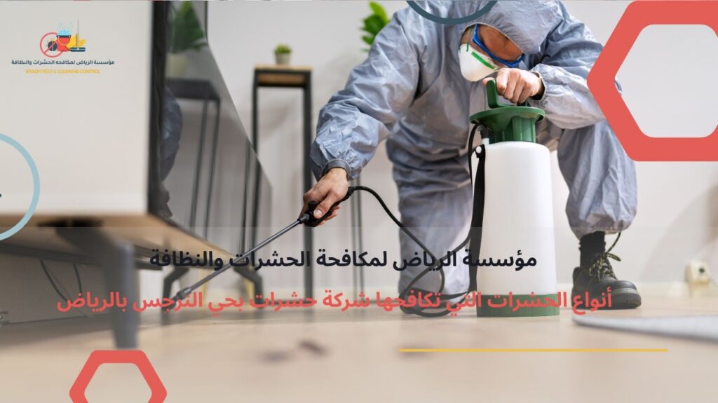 أفضل شركة مكافحة حشرات بحي النرجس