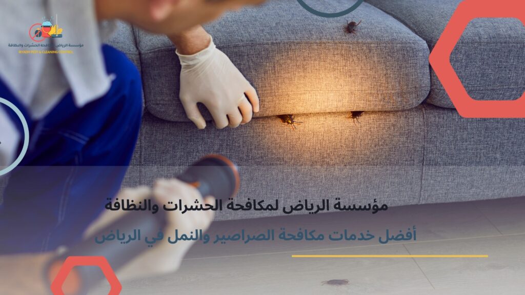 مكافحة الحشرات الزاحفة بالرياض