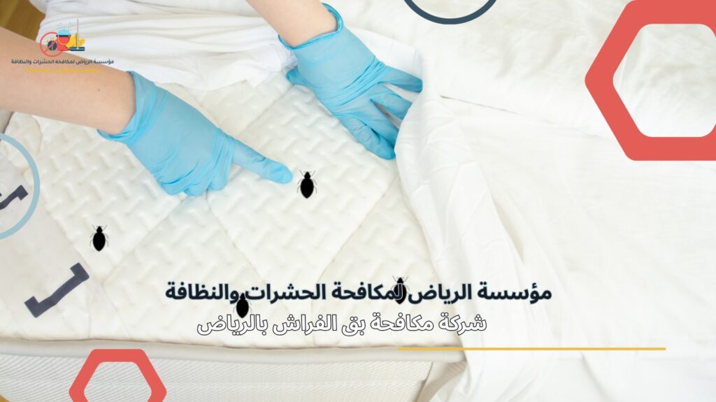 مكافحة بق الفراش بالرياض