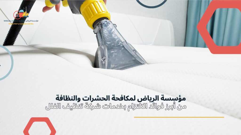 تنظيف فلل في الرياض