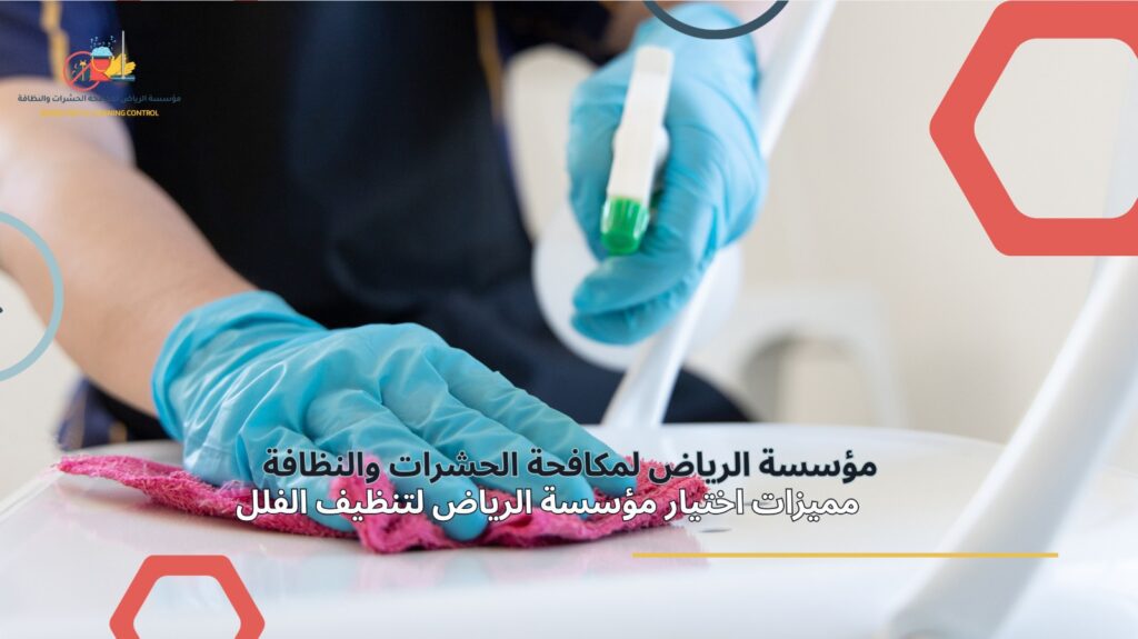 تنظيف فلل في الرياض