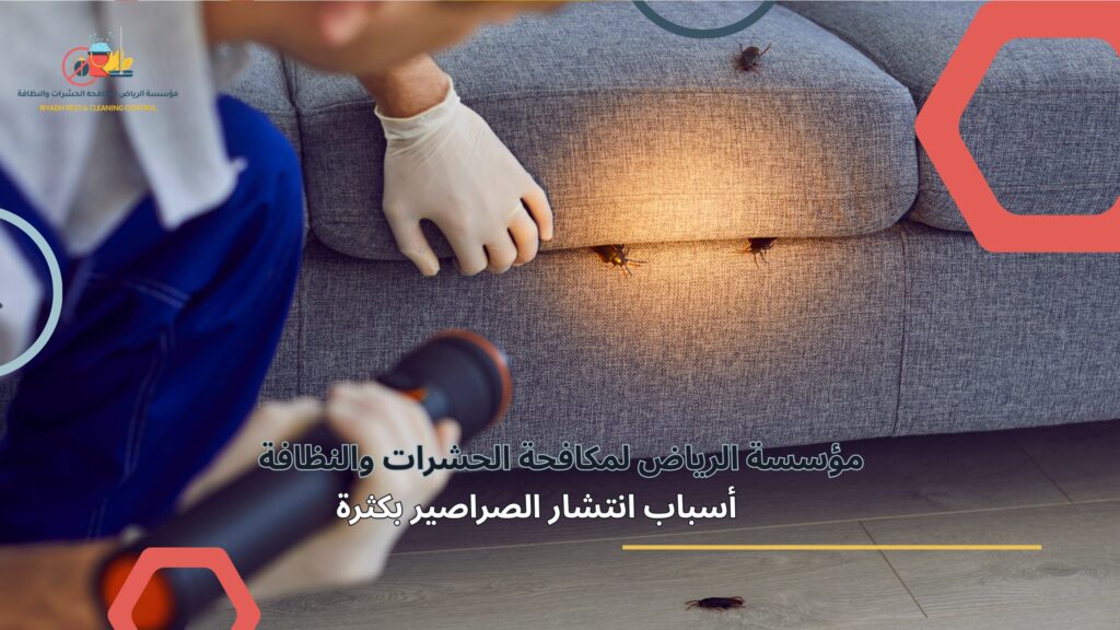 مكافحة الصراصير في الرياض