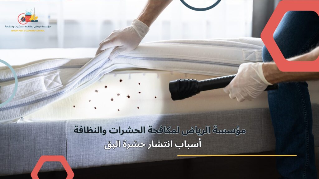 مكافحة بق الفراش في الرياض
