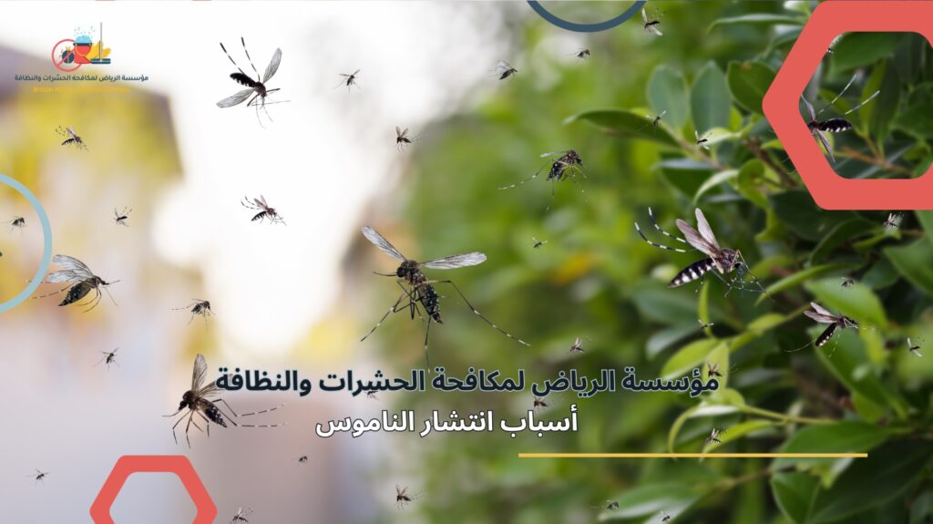 مكافحة الناموس في الرياض