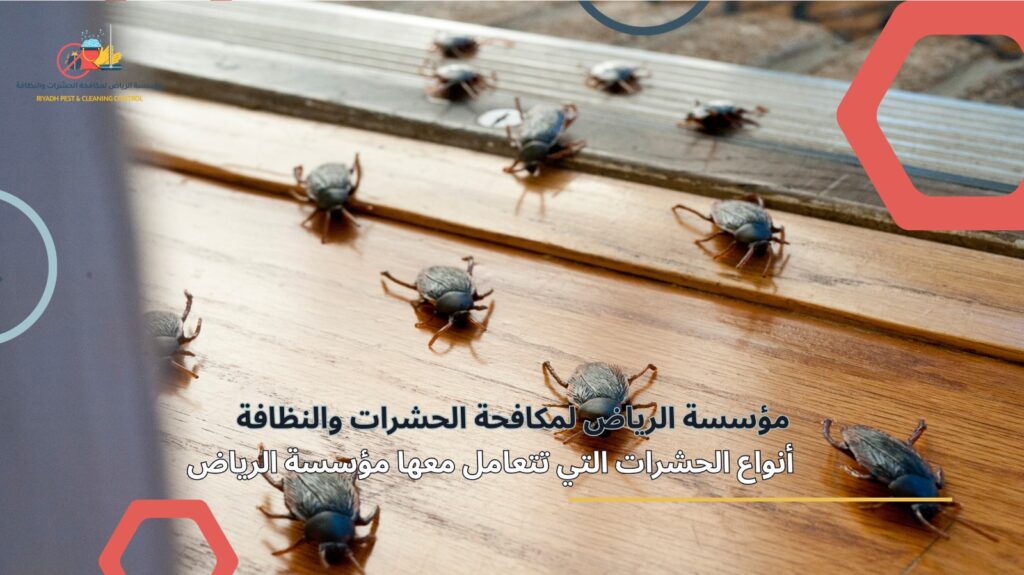 إبادة الحشرات في الرياض