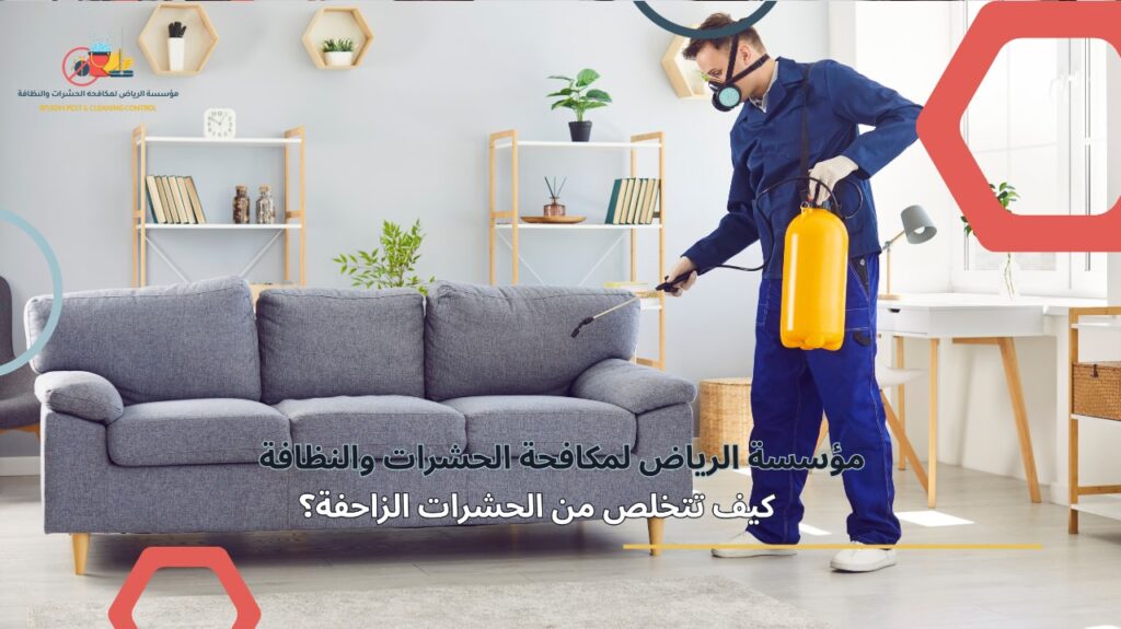 مكافحة الحشرات الزاحفة في الرياض