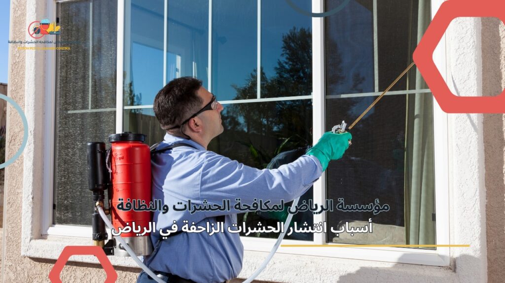 مكافحة الحشرات الزاحفة في الرياض