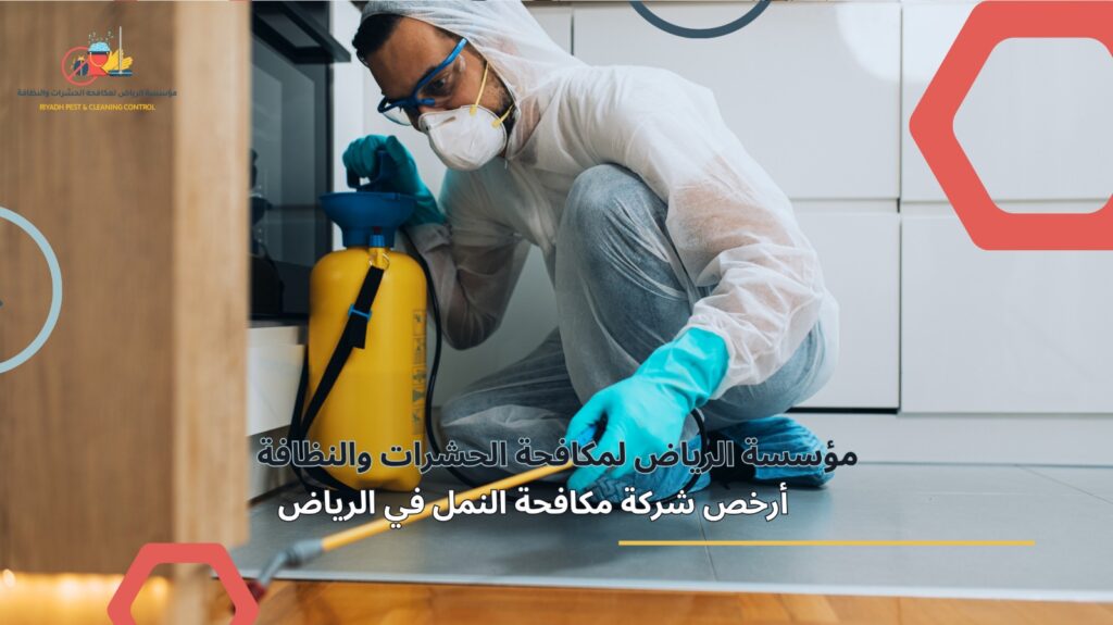 اضرار النمل الابيض