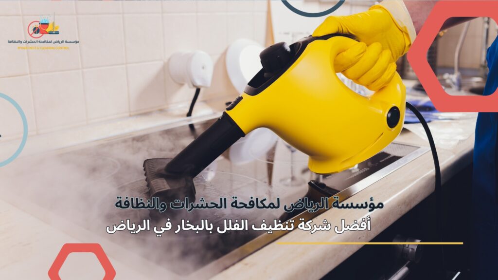 تنظيف فلل بالبخار في الرياض