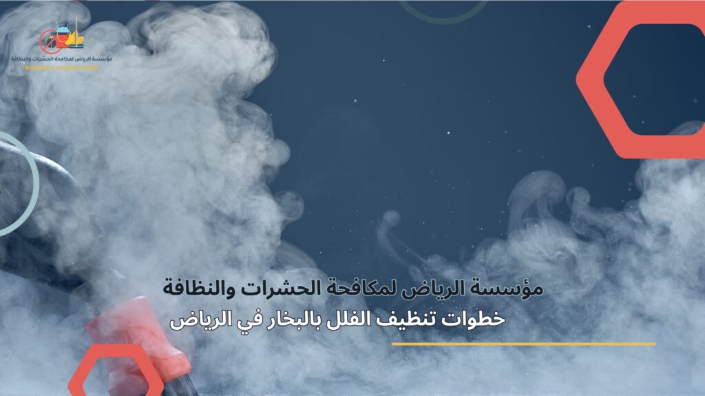 تنظيف فلل بالبخار في الرياض