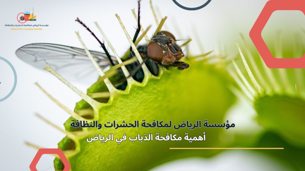 مكافحة الذباب في الرياض