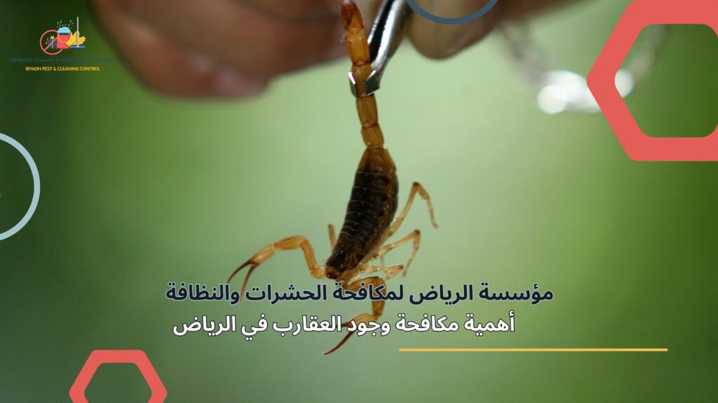 مكافحة العقارب في الرياض