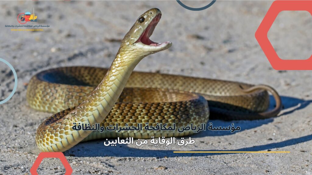 مكافحة الثعابين في الرياض