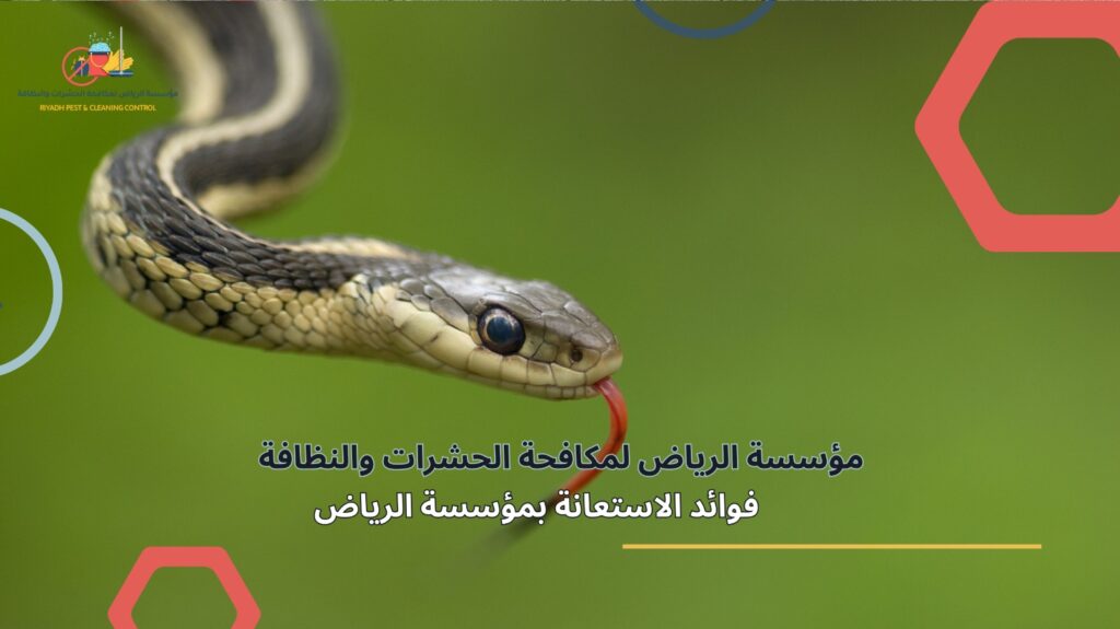 مكافحة الثعابين في الرياض