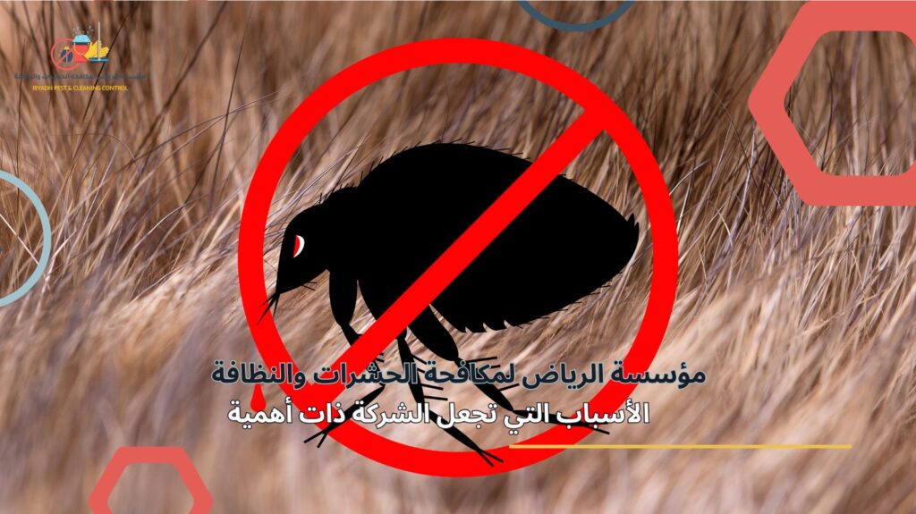 مكافحة البراغيث في الرياض