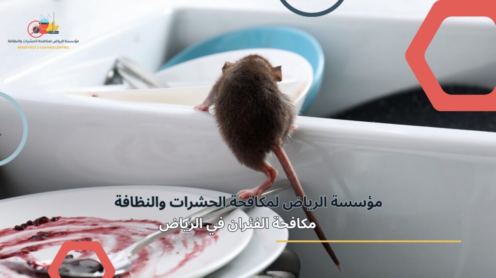 مكافحة الفئران في الرياض