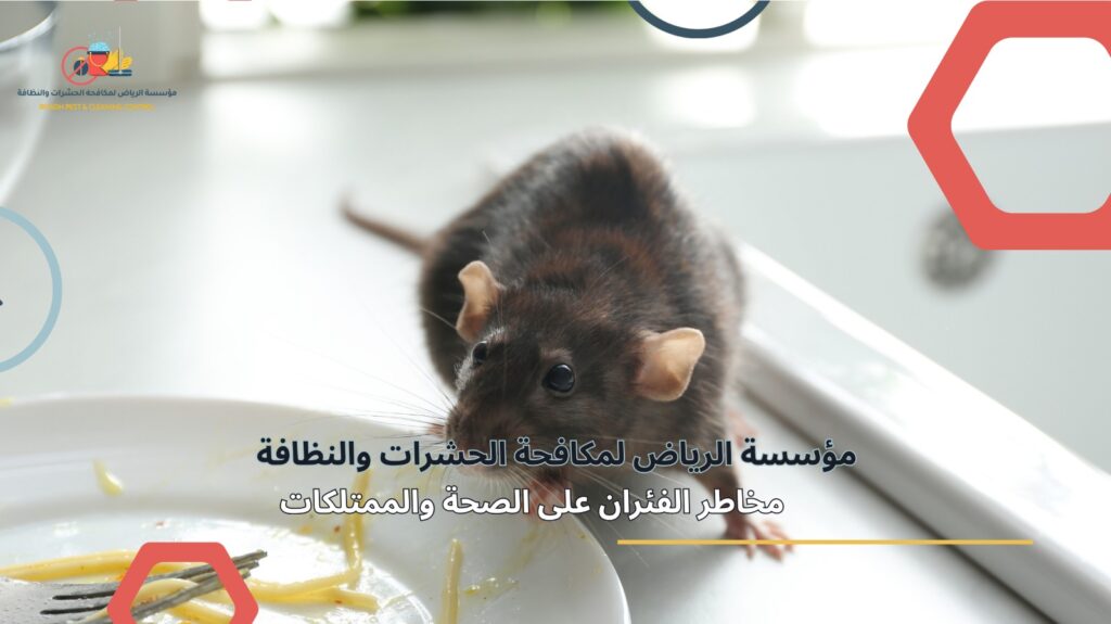 مكافحة الفئران في الرياض