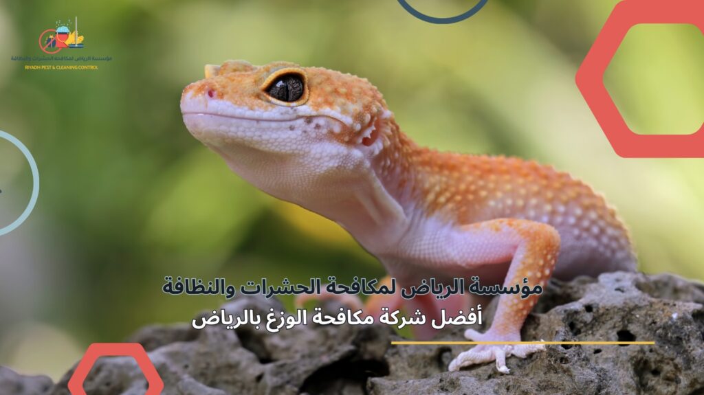 مكافحة الوزغ في الرياض