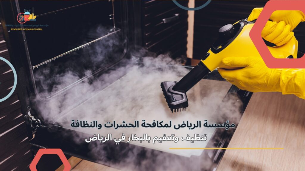 تنظيف منازل في حي الملقا