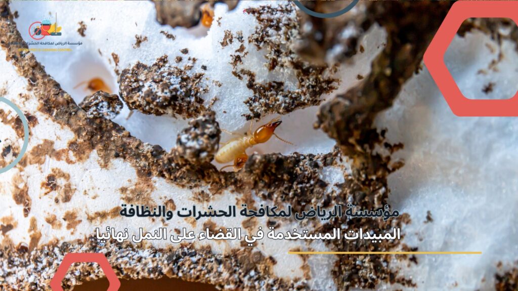 مكافحة النمل الأبيض في الرياض