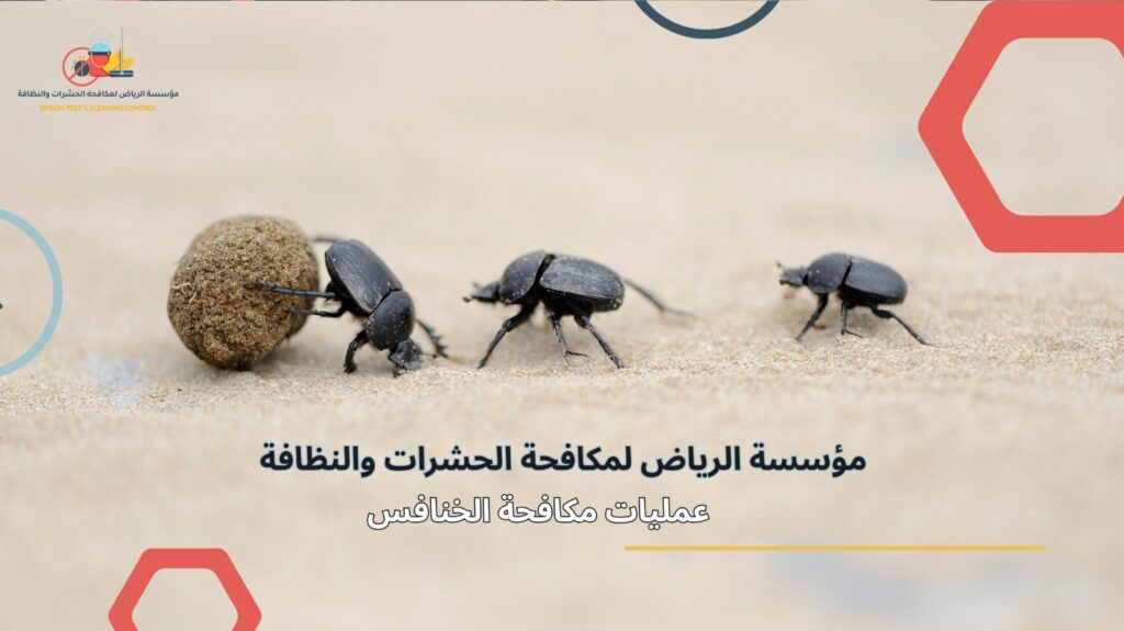 مكافحة الخنافس في الرياض