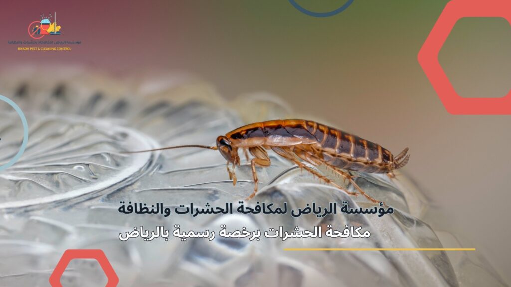 مكافحة الحشرات برخصة رسمية بالرياض