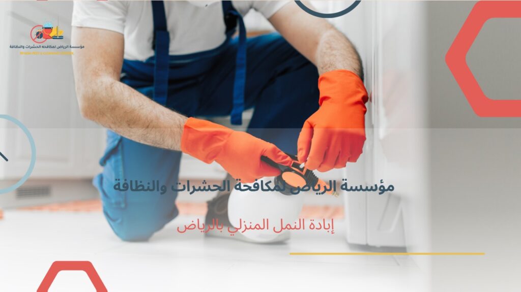 إبادة النمل المنزلي بالرياض