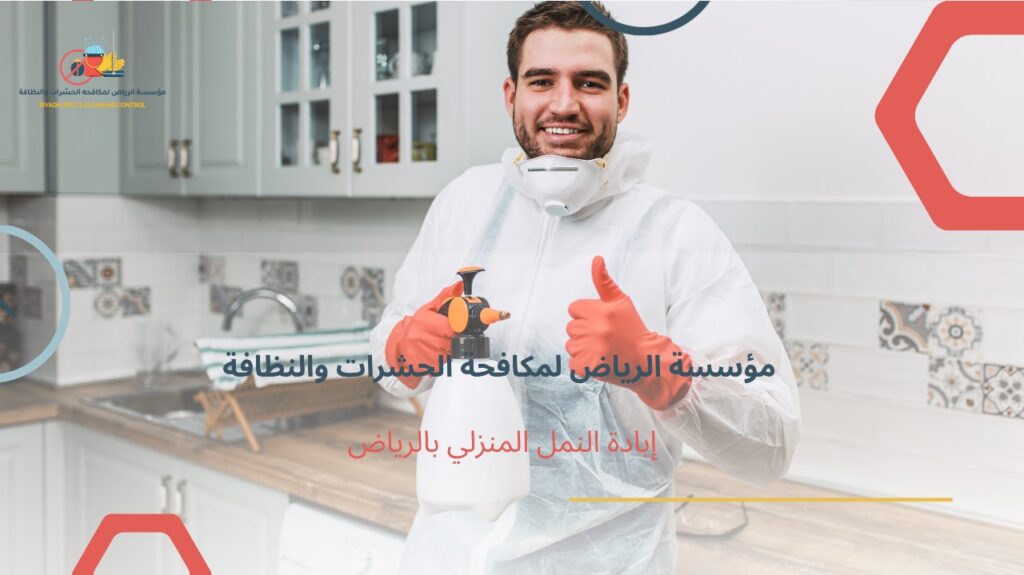 إبادة النمل المنزلي بالرياض