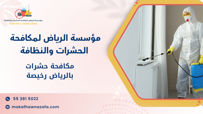 مكافحة حشرات بالرياض رخيصة