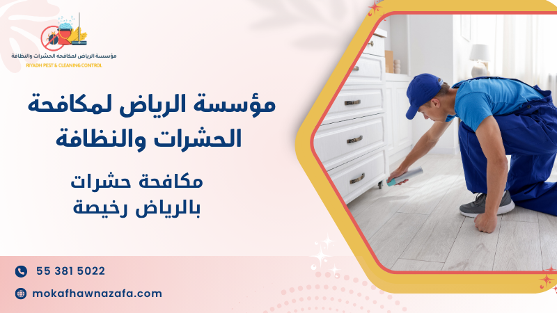 مكافحة حشرات بالرياض رخيصة