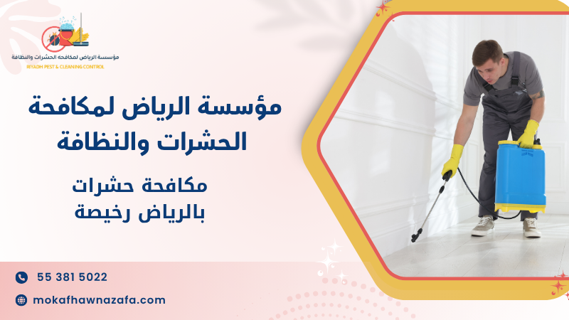 مكافحة حشرات بالرياض رخيصة