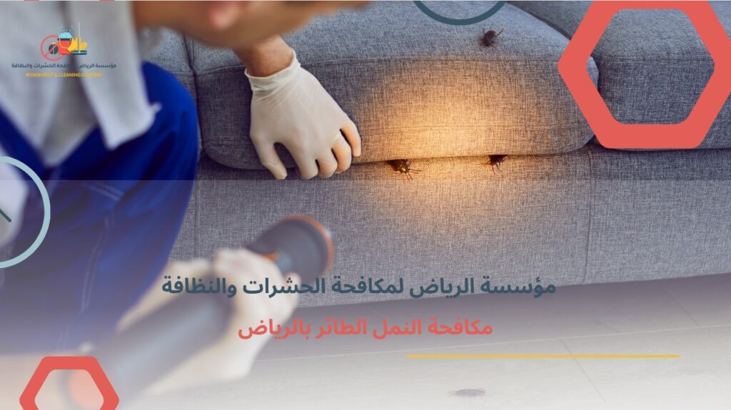 مكافحة النمل الطائر بالرياض