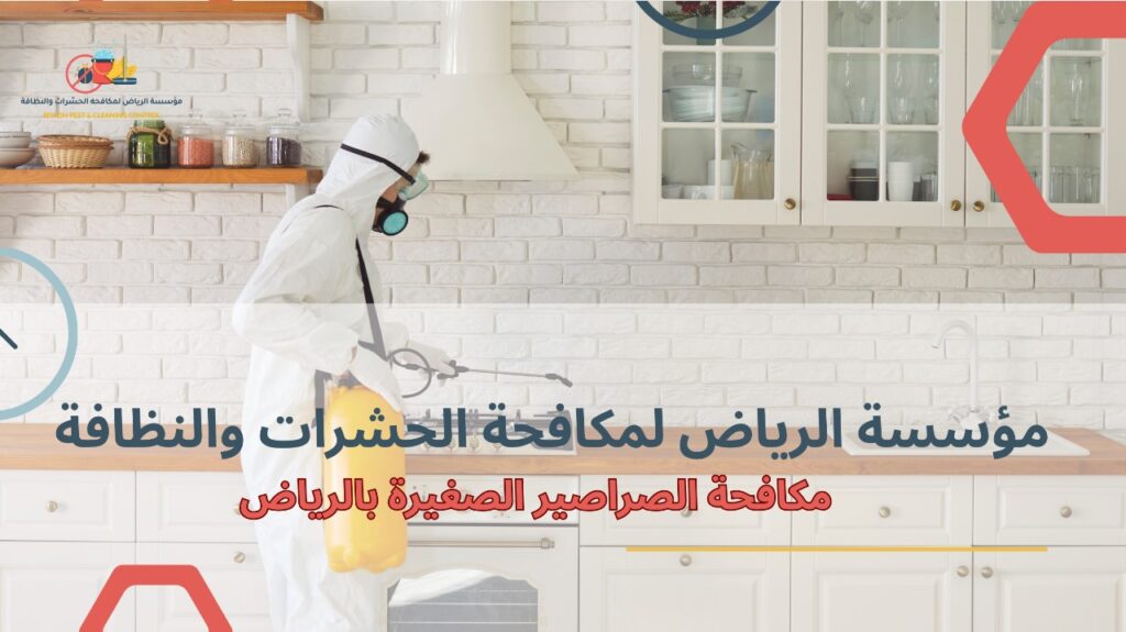 مكافحة الصراصير الصغيرة بالرياض