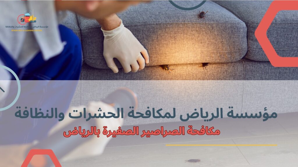 مكافحة الصراصير الصغيرة بالرياض