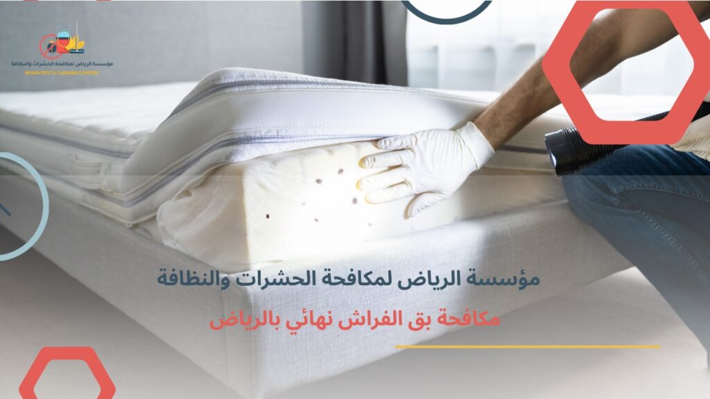 مكافحة بق الفراش نهائي بالرياض