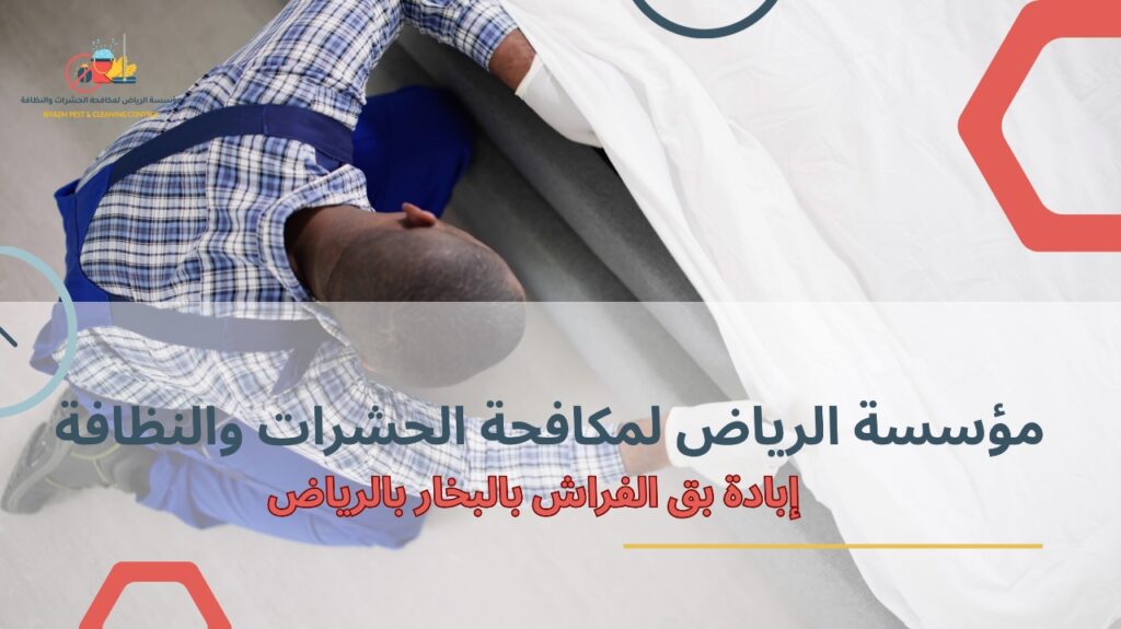 إبادة بق الفراش بالبخار بالرياض