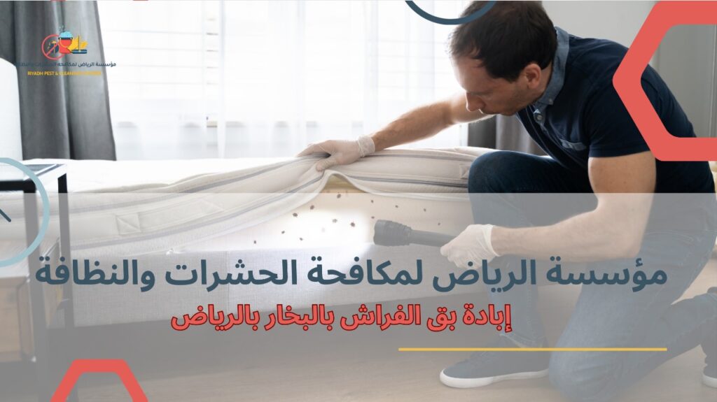 إبادة بق الفراش بالبخار بالرياض