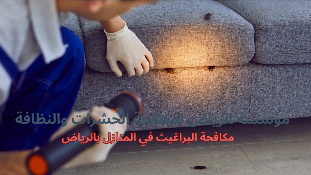 مكافحة البراغيث في المنازل بالرياض