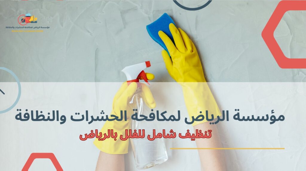 تنظيف شامل للفلل بالرياض