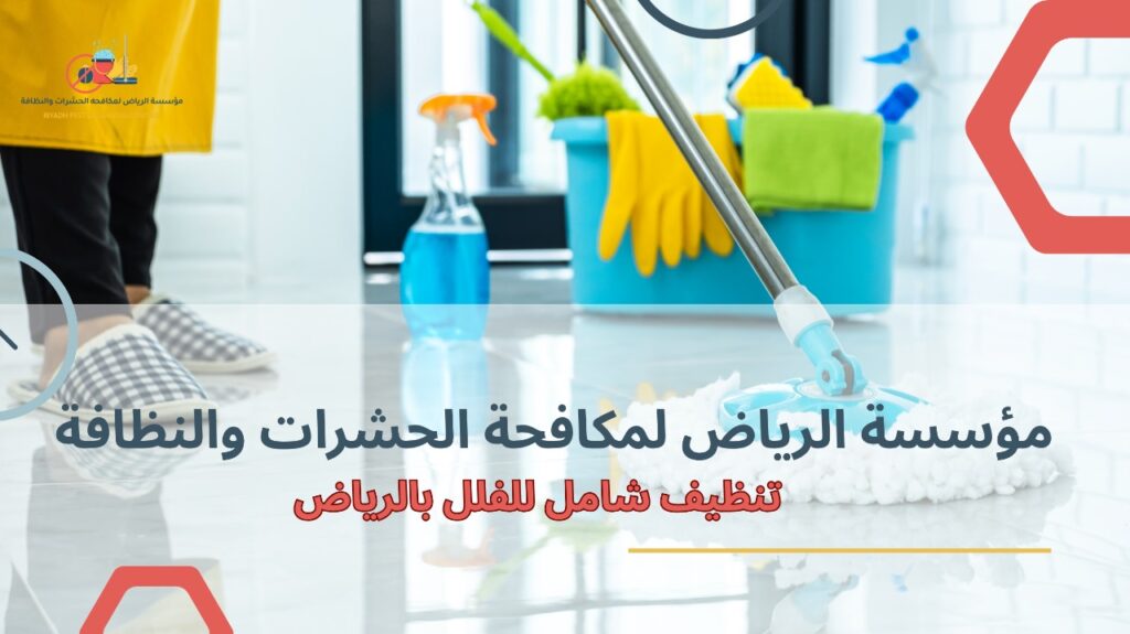 تنظيف شامل للفلل بالرياض