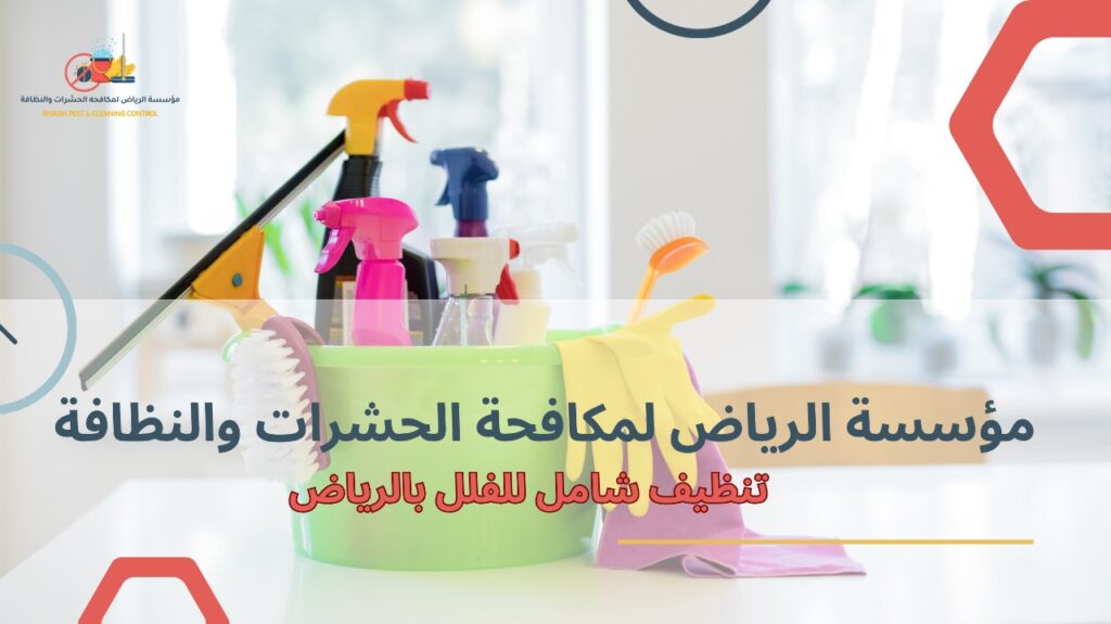 تنظيف شامل للفلل بالرياض