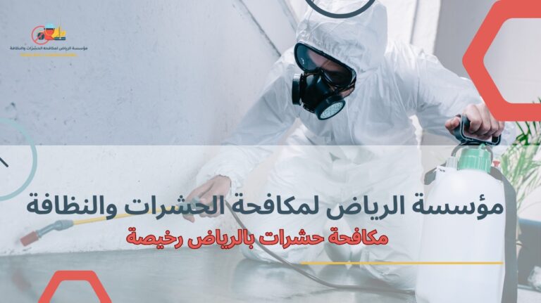 شركة مكافحة حشرات بالرياض رخيصة