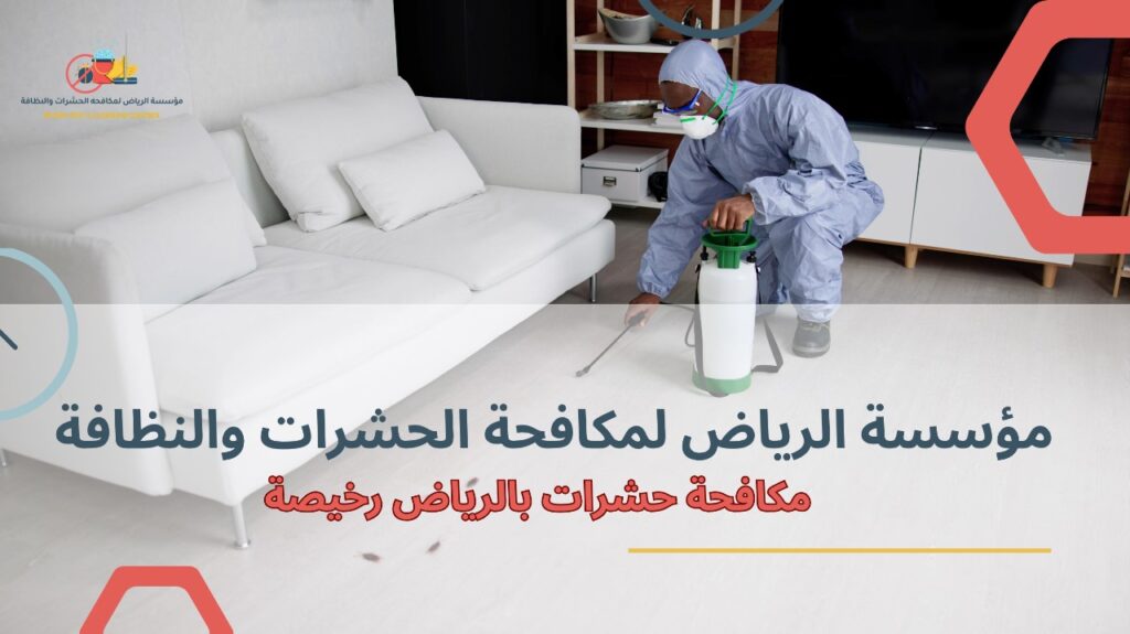 مكافحة حشرات بالرياض رخيصة