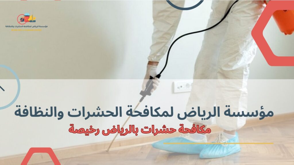 مكافحة حشرات بالرياض رخيصة