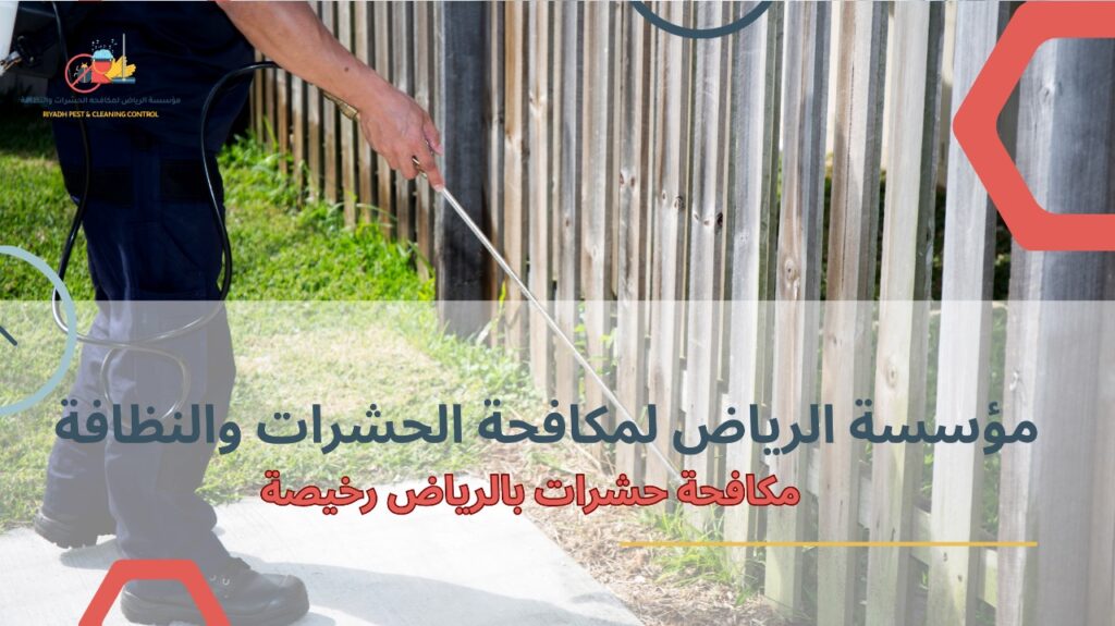 مكافحة حشرات بالرياض رخيصة