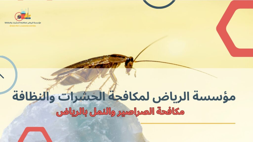 نصائح مكافحة الصراصير والنمل بالرياض