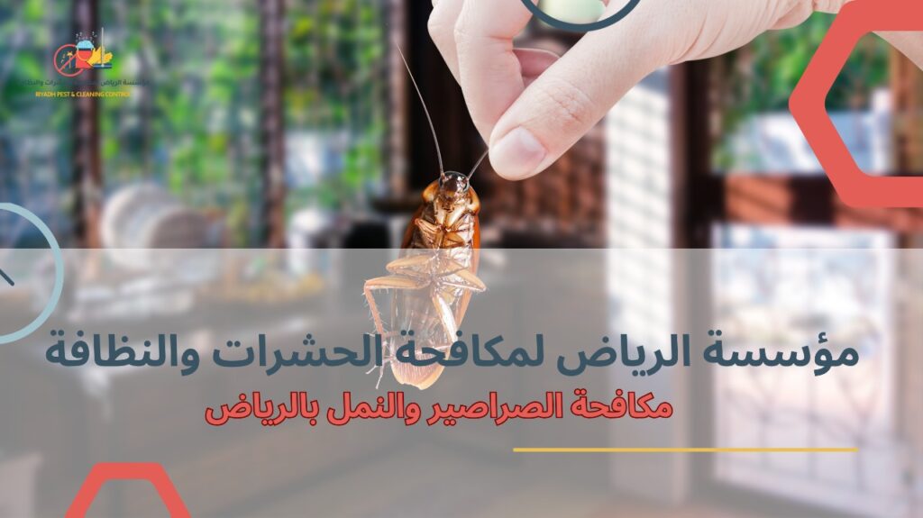 أفضل طرق مكافحة الصراصير والنمل بالرياض