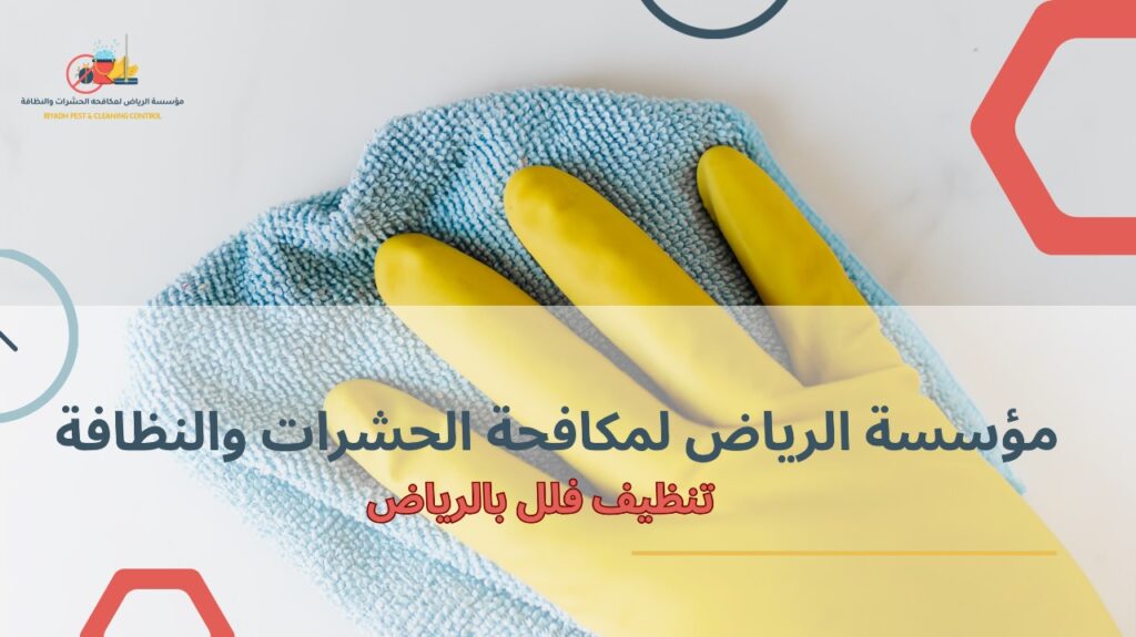 تنظيف فلل بالرياض